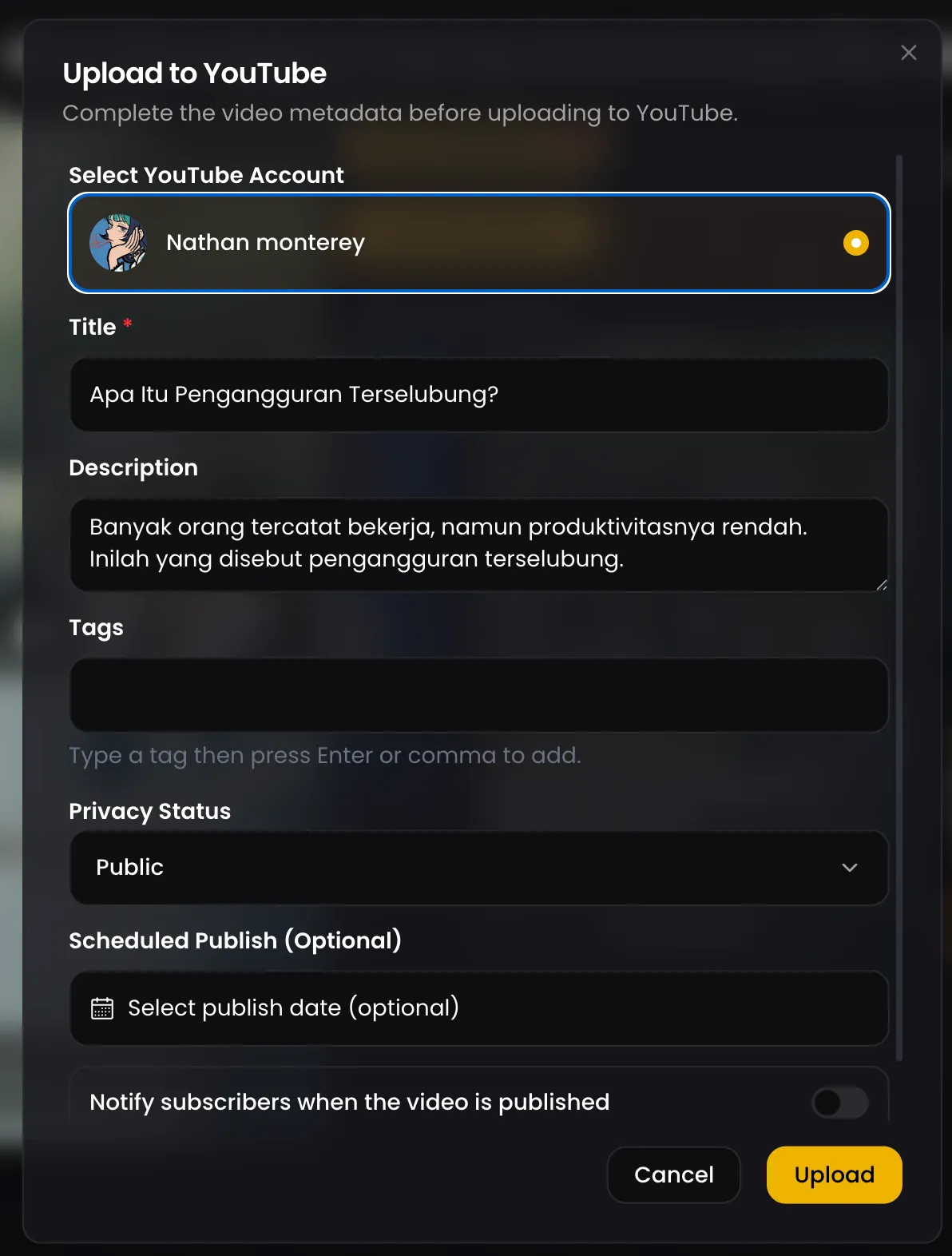 YouTube へのアップロード画面。チャンネル、タイトル、説明、タグ、公開範囲、そして任意の予約公開日時を設定します。